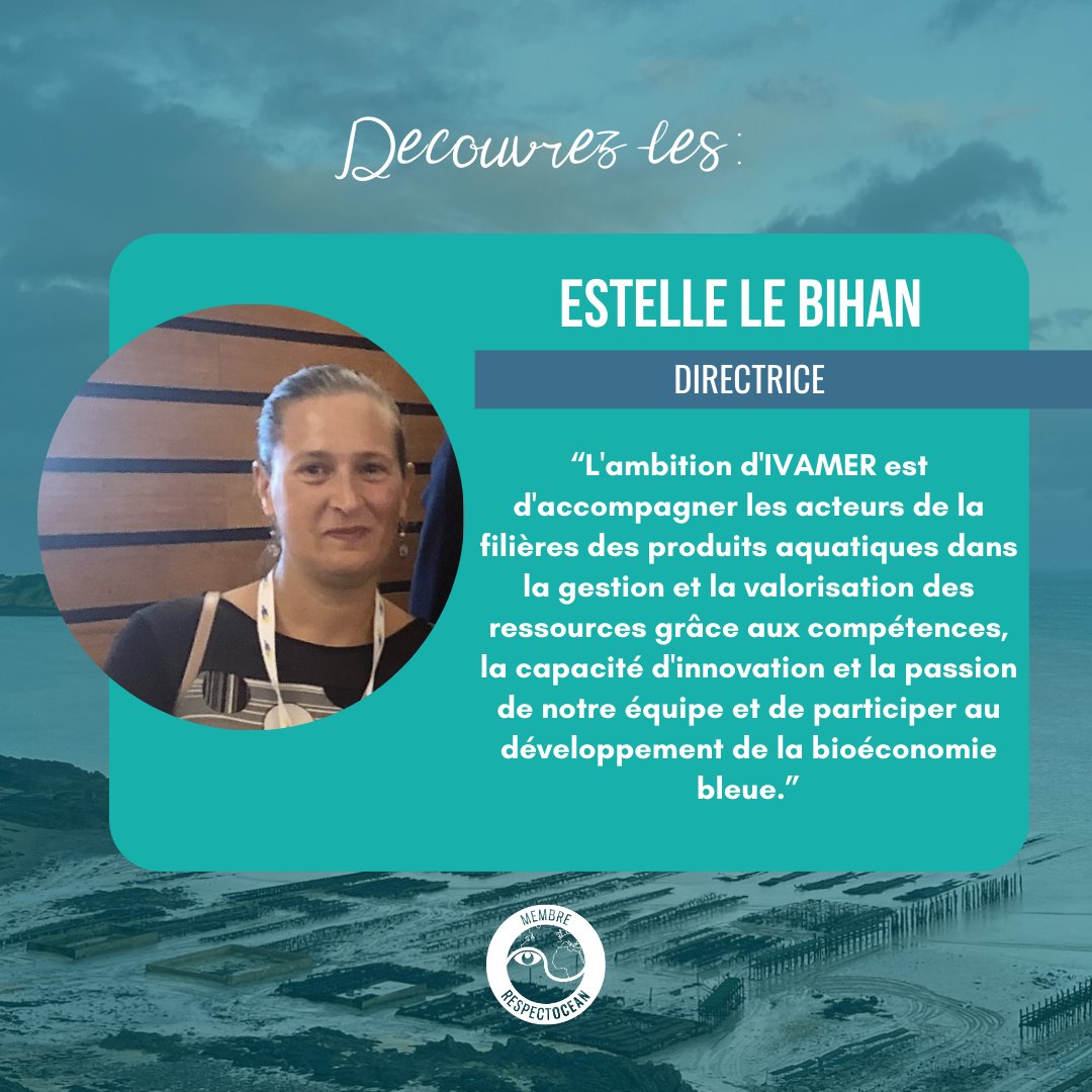 RespectOcean 🌊 tweet media