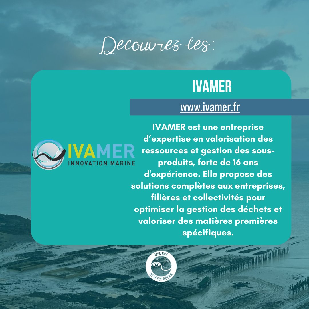 RespectOcean 🌊 tweet media