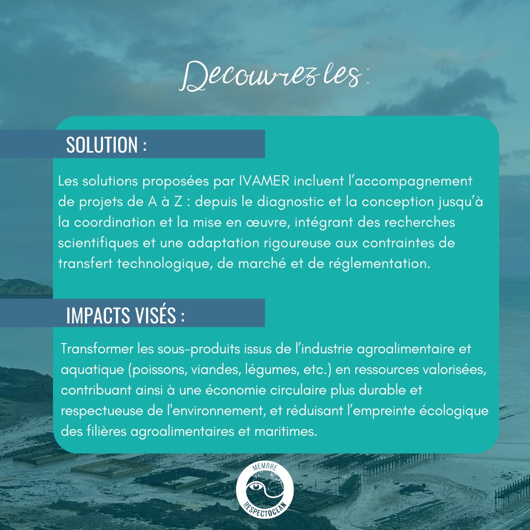 📣🌊[BIENVENUE] Nous sommes heureux d'accueillir un nouvel adhérent, #IVAMER, expert en gestion et valorisation des ressources marines et agroalimentaires, au service des entreprises, filières et collectivités.

▶️ Découvrir Ivamer : respectocean.com/ivamer/