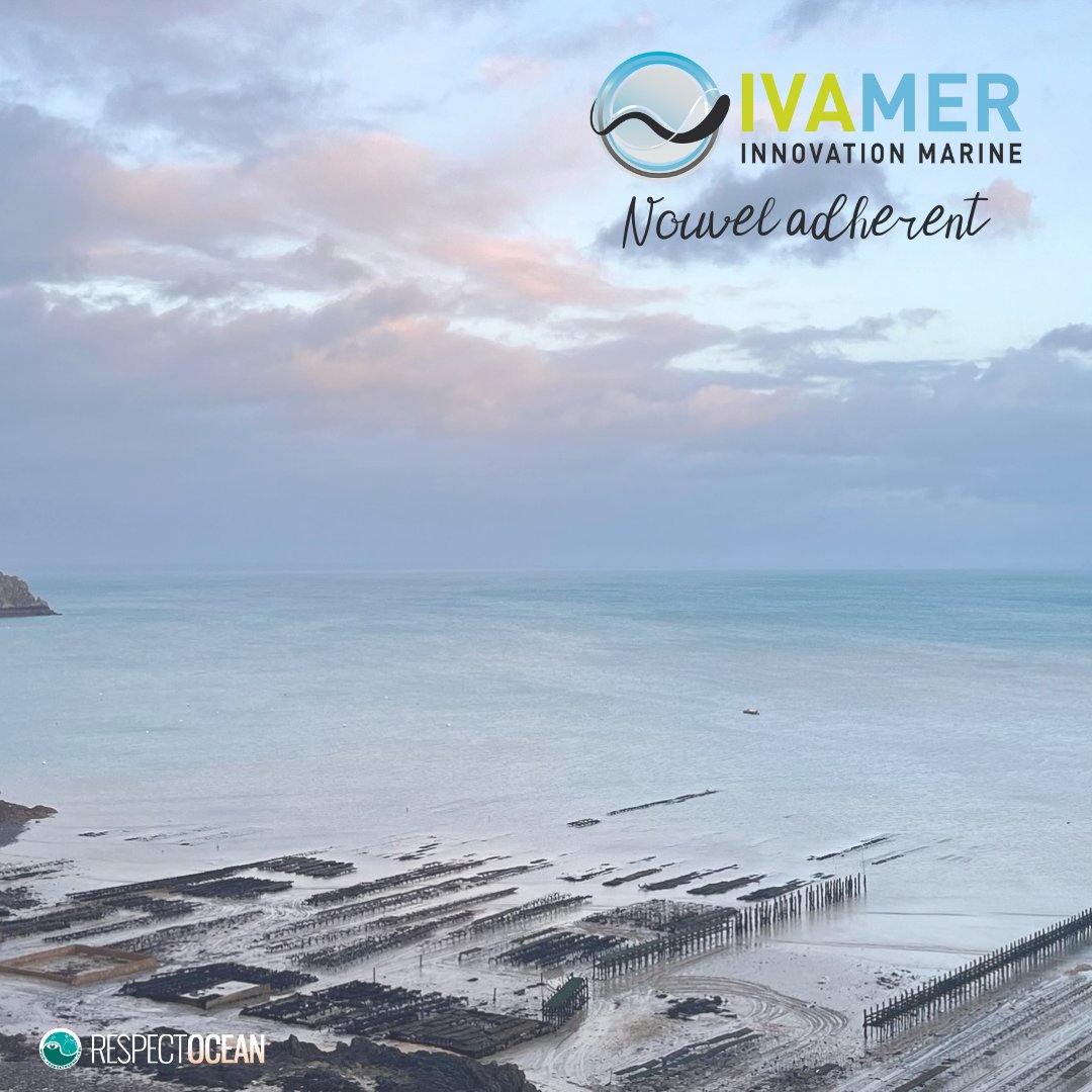 RespectOcean 🌊 tweet media