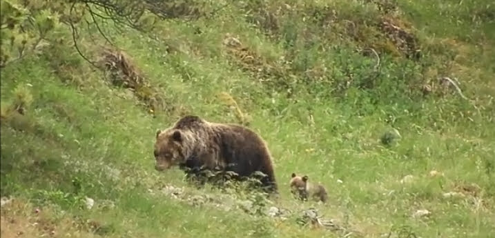 Massimo Moscarelli tweet media