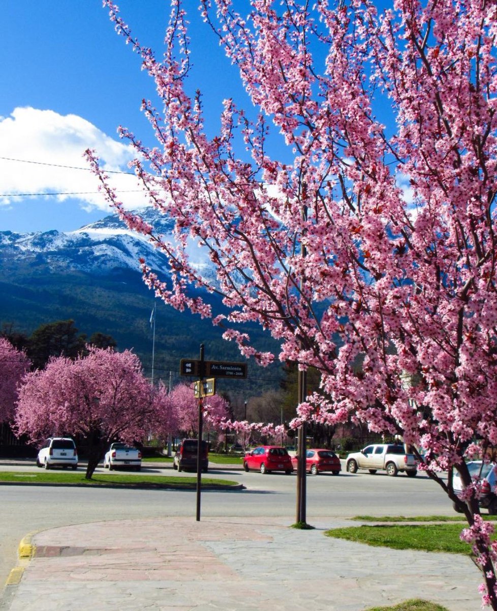 ¡Florece El Bolsón! 😍🌸🧉
Patagonia 🇦🇷