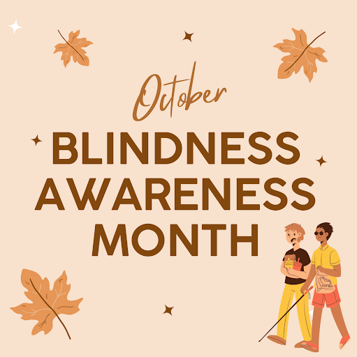 McMaster Paediatric Eye Research Group tweet media