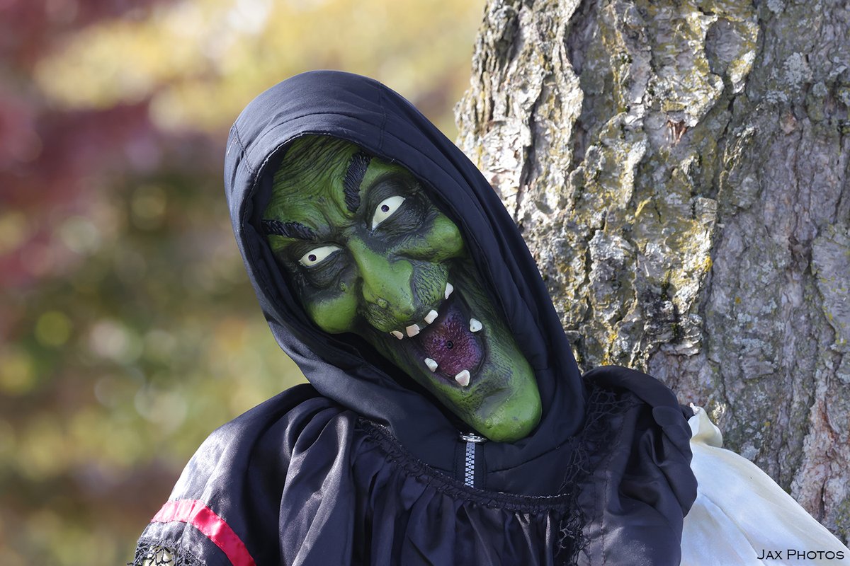 naturephotos55's tweet photo. It’s #BoosDay! (The Tuesday before Halloween!)
Do you have any Halloween type photos to share? QT/QP! 🙂 🎃👻💀 https://t.co/7VvdBBWDzR