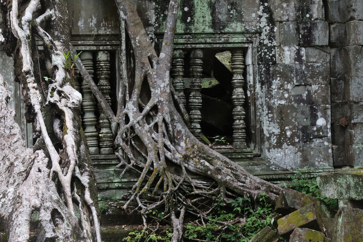 Jan Krocak tweet media