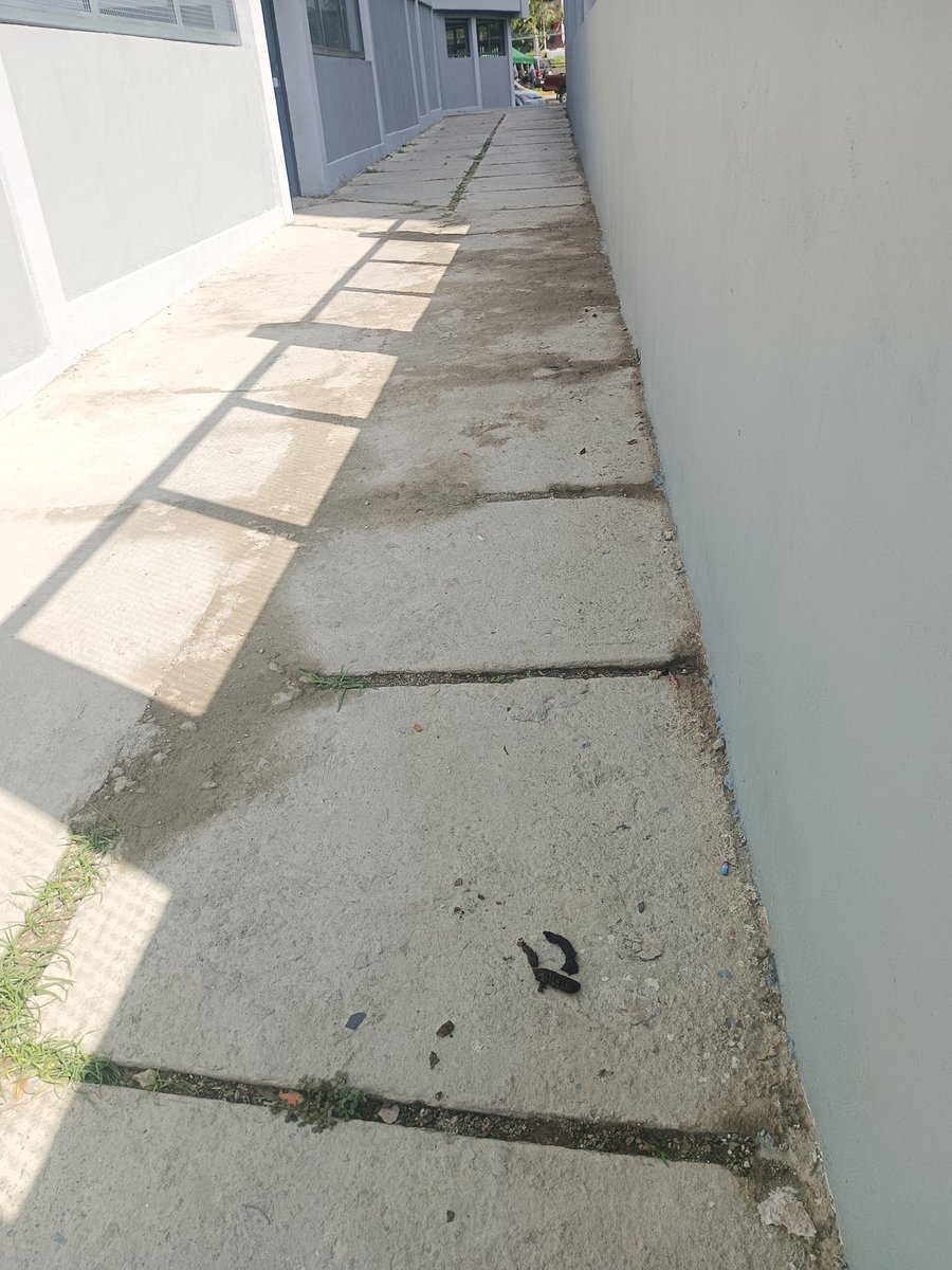 LaQuebraditaCcs's tweet photo. Vecinos de la Urb. La Quebradita en #Caracas. La situación de los excrementos de perros y basura es alarmante. Pasar x los callejones sin pisar pupú es una proeza.
Hay niños y jóvenes q caminan a diario por esta zona escolar. 
Recojan sus excrementos.
@AlcaldiaDCcs #Ccs #denuncia https://t.co/EDbLbrUoV8