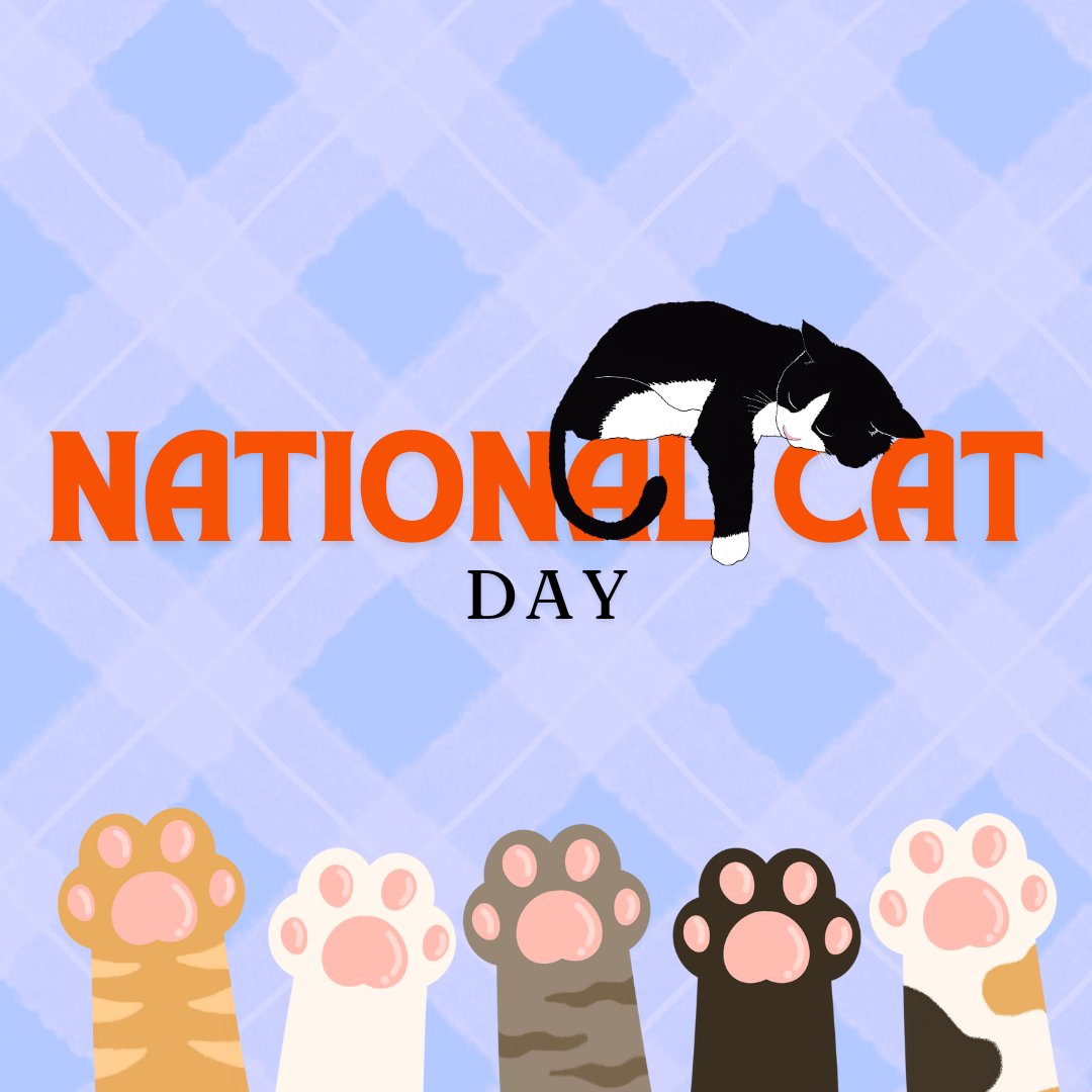 🐾 Happy National Cat Day! Today, we celebrate our purring companions who bring so much joy to our lives. Share a photo of your cat and tell us what makes them special! 🐱