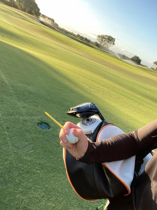 골프장에서 스윙은 예술이고 코스는 당신의 무대입니다.