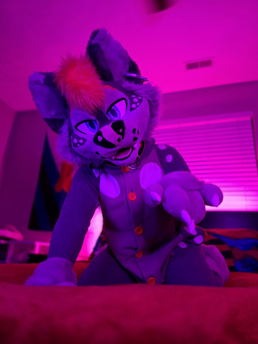#TummyTuesday isn't complete without belly rubs. Guess I'll volunteer this one time.~ 🐕
•
📸 • <a href="/BigKittyToki/">Toki</a> #Fursuit