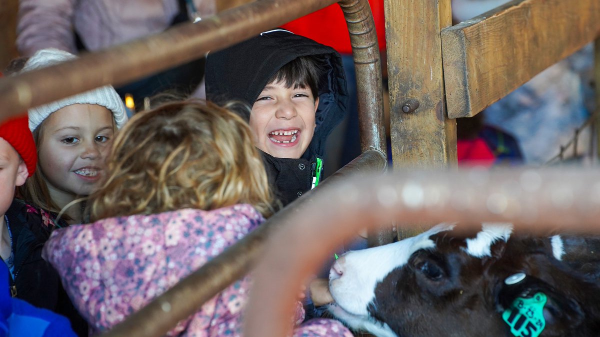 Jenison Public Schools (@jenisonschools) on Twitter photo Recently kindergarten & first grade students at <a href="/JIAonline/">Jenison Innovation Academy</a> experienced an unforgettable field trip to Post Family Farm! They learned about the history of the farm, went on rides, met the farm animals, & enjoyed the legendary donuts. Thank you for hosting us, Post Family Farm! Recently kindergarten & first grade students at <a href="/JIAonline/">Jenison Innovation Academy</a> experienced an unforgettable field trip to Post Family Farm! They learned about the history of the farm, went on rides, met the farm animals, & enjoyed the legendary donuts. Thank you for hosting us, Post Family Farm!