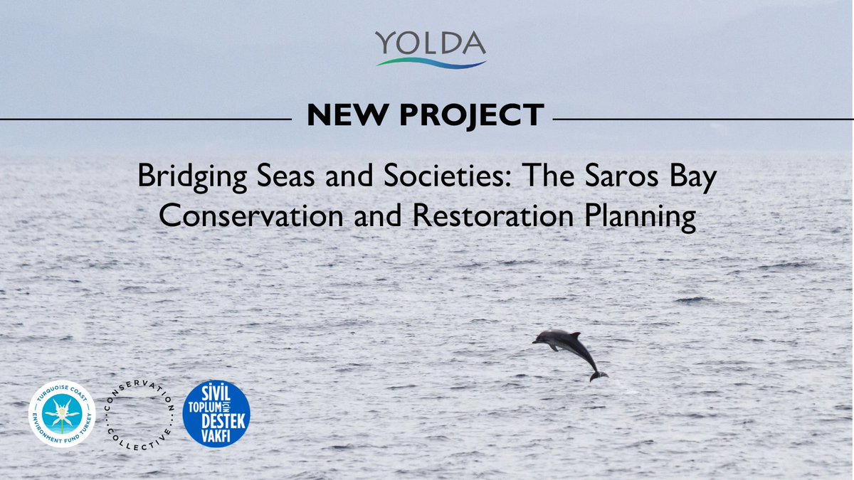 Yolda Initiative tweet media