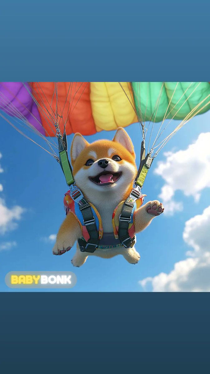 BurakOkyar4's tweet photo. #Babybonk #Babybonkcoin https://t.co/c3a25T6i7G