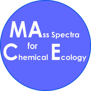 MACE4GCMS's tweet image. MACE release 6 is now available. It contains over 420 EI mass spectra and almost 30 orbitrap mass spectra. 
The data can be found at leopard.tu-braunschweig.de/receive/dbbs_m… 
The MACE website with individual spectra is accessible via oc.tu-bs.de/schulz/html/MA…