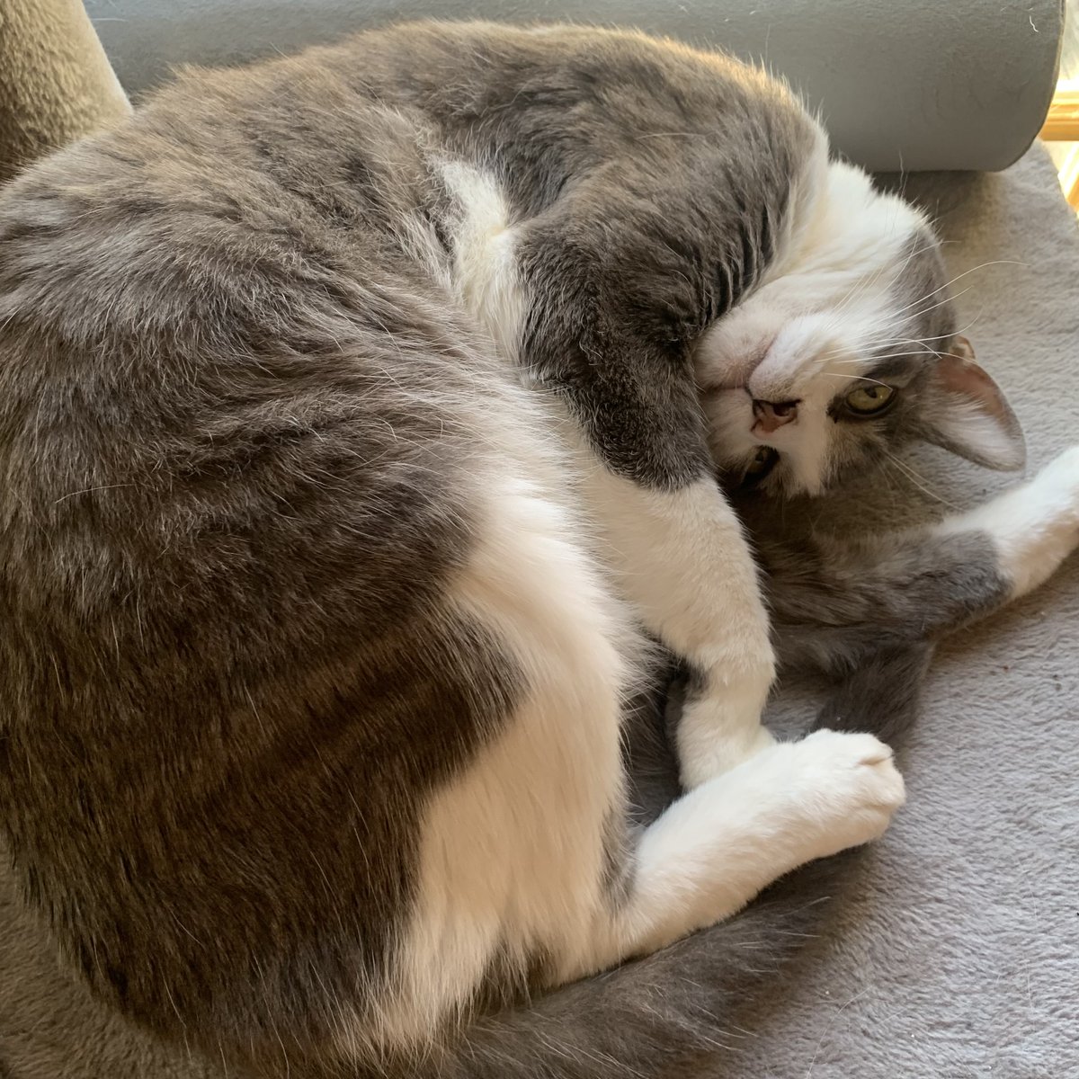 L.E. DeLano can be found where the skies are blue tweet media