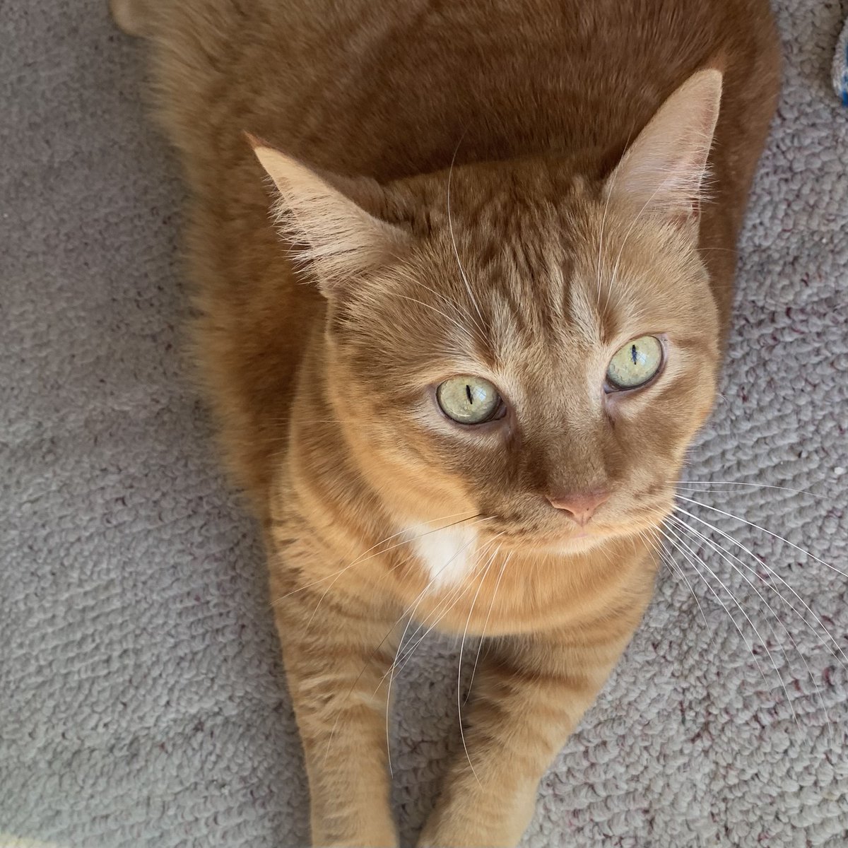 L.E. DeLano can be found where the skies are blue tweet media