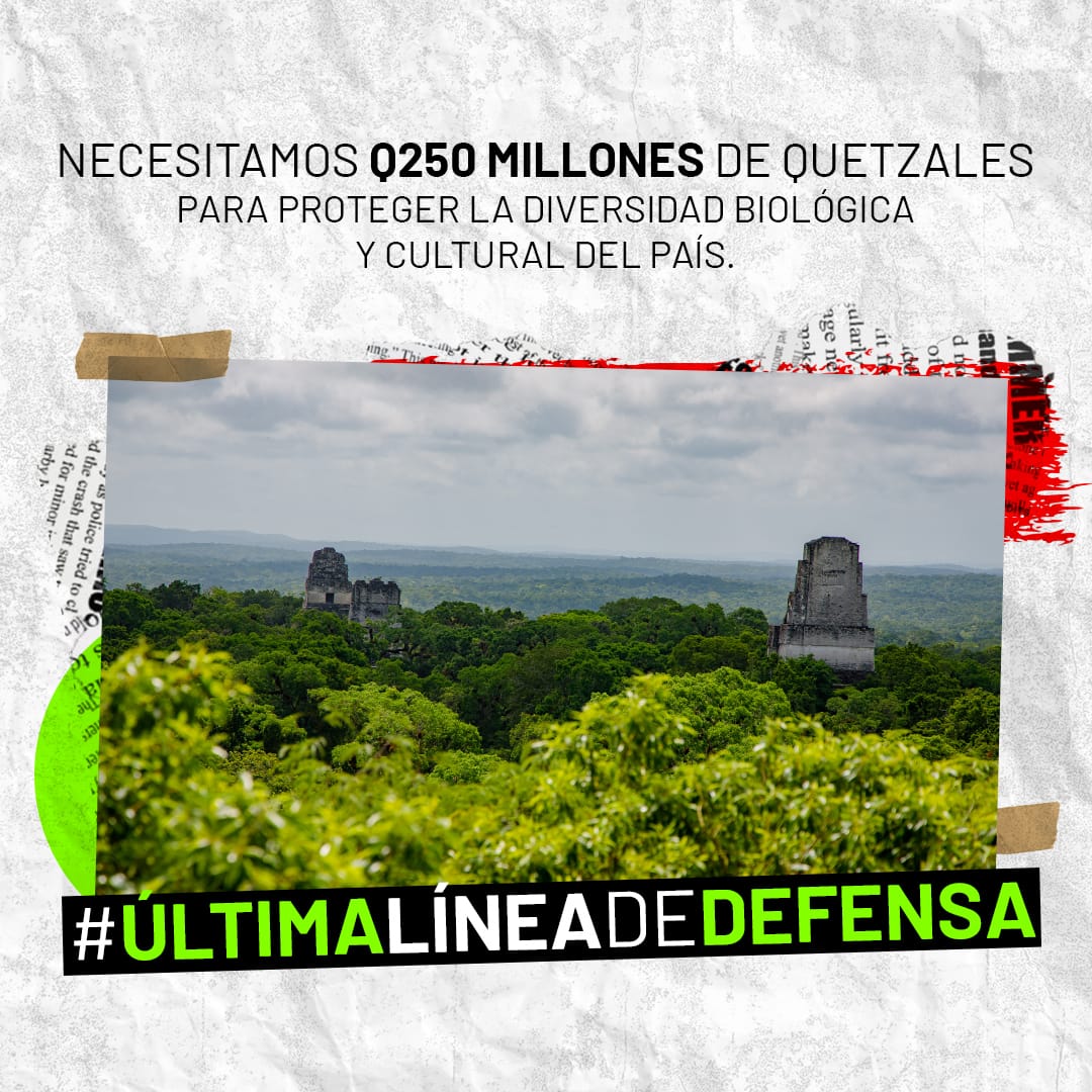 CDC Guatemala tweet media