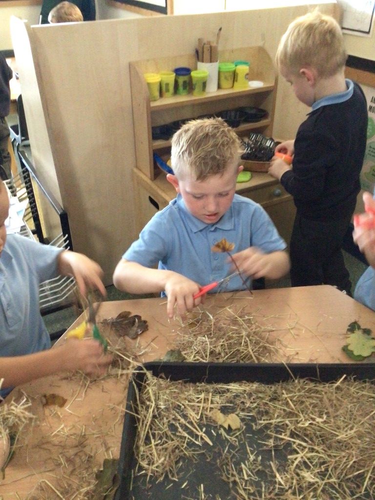 MonkwoodPrimary's tweet photo. 🦔 Class 3 have really enjoyed learning about the topic of ‘Who Lives in the Woods’ this half term!

Read the full story 👇
https://t.co/EJ8FppOg71 https://t.co/zVC1S9Wnpd