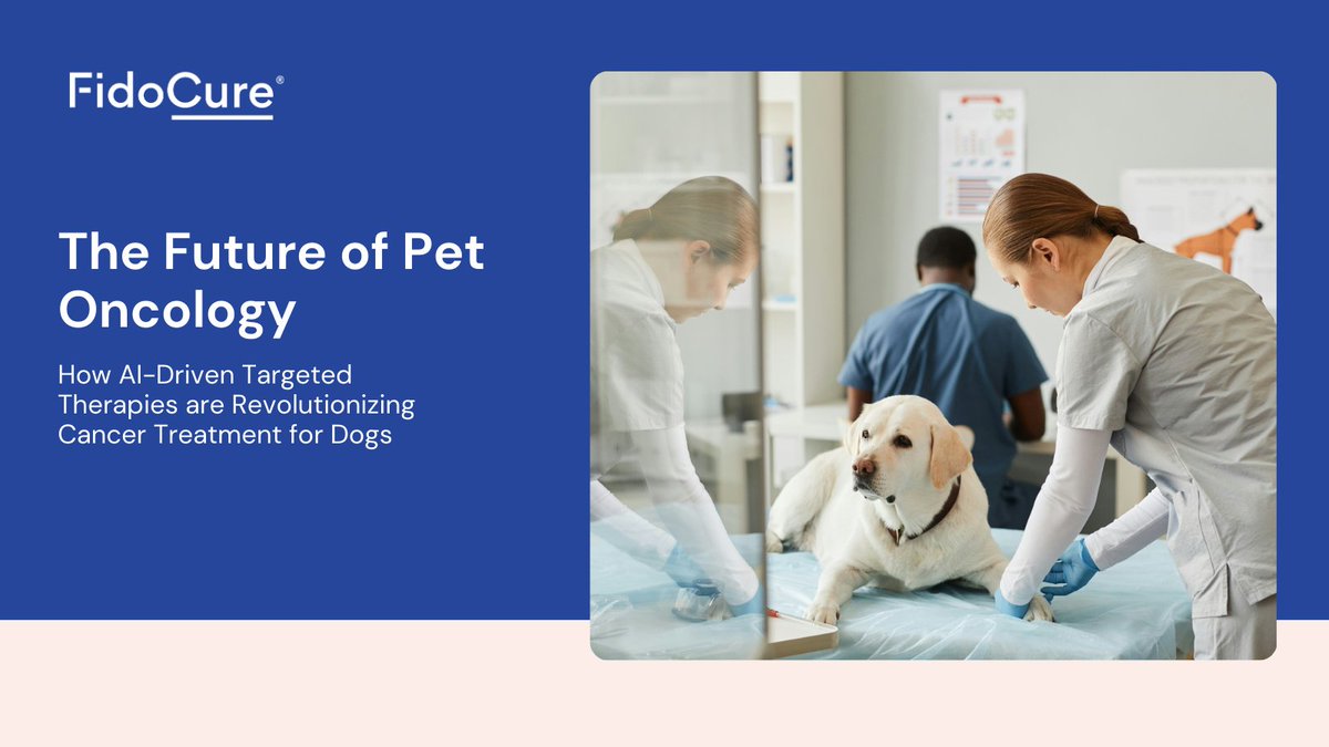🐾✨ The future of pet oncology is here! At #FidoCure, we’re using AI-driven targeted therapies to revolutionize #cancer treatment for #dogs, offering personalized solutions based on each dog's unique genetic profile. 
hubs.li/Q02W2l6c0

#PrecisionMedicine #dogs #fidocure