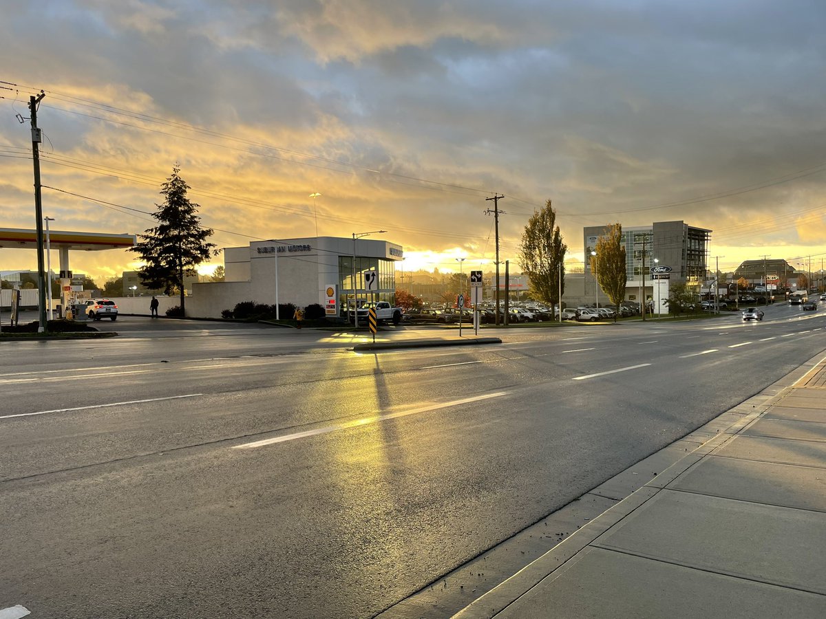 Sometimes there is a pause and the sun comes out. 

It’s more glorious in the forest, but whatever your setting, may the pause give you recharge and the encouragement to continue.