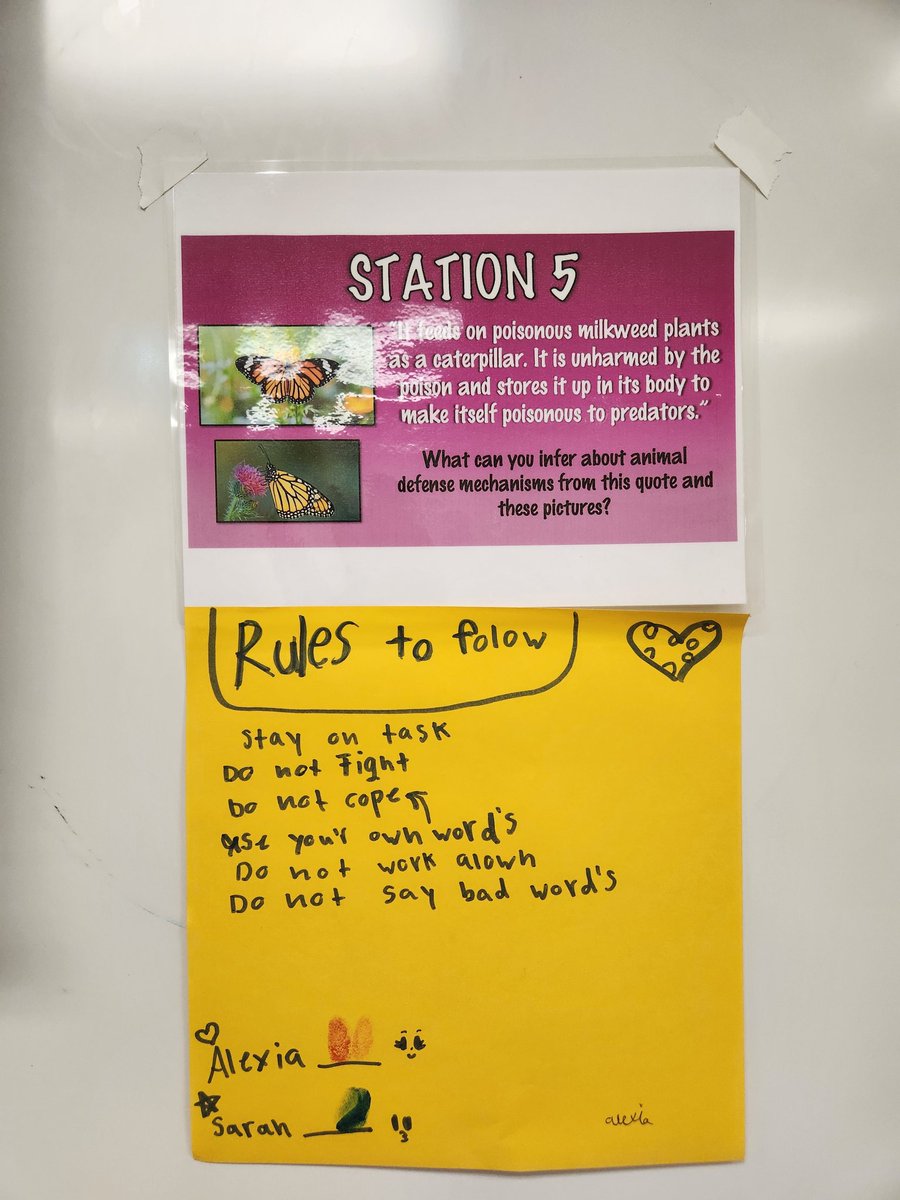 MrsSweeney-SESCoaching tweet media