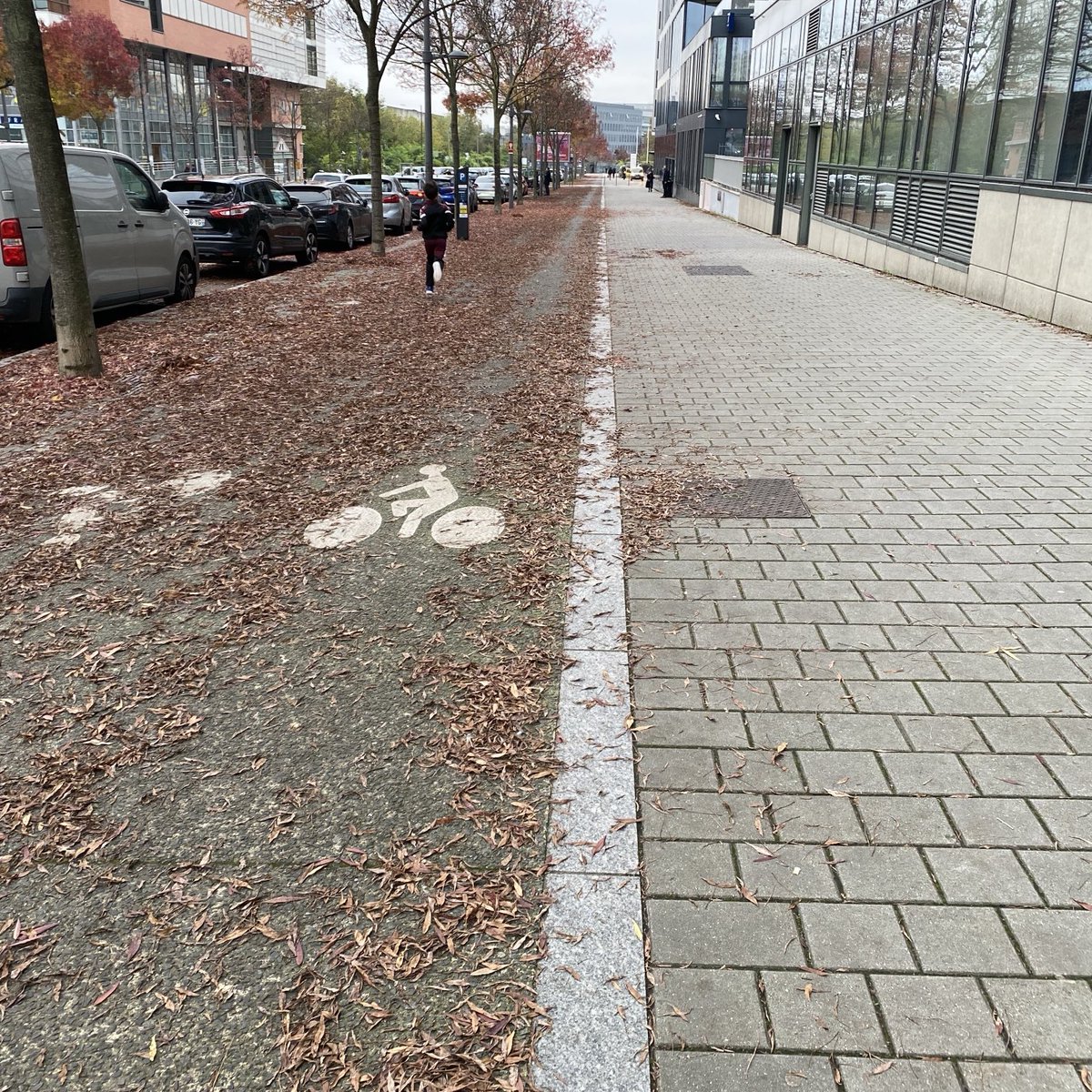 MDB Massy tweet media