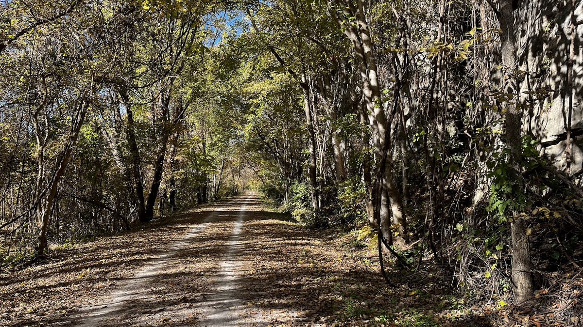 STL BWorks tweet media