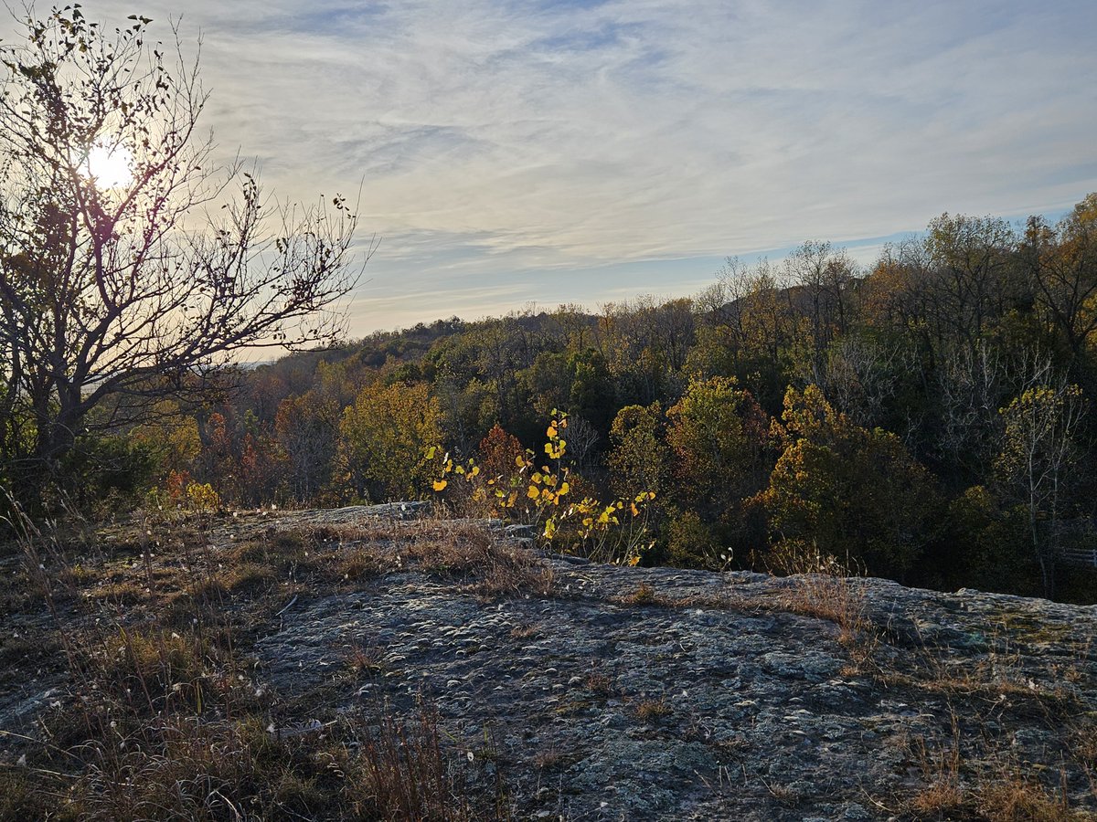 STL BWorks tweet media