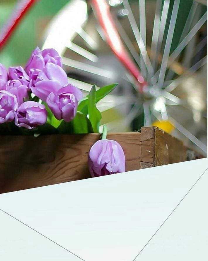 مساء الخير
 إلى كل القلوب
 العامرة بالمحبة بالخير بالعطاء .. بالأمل وبالتفاؤل .. بكل ماهو جميل في هذه الحياة .. 
مسائكم جميل كجمال أرواحكم .. نقي كنقاء قلوبكم ❤️