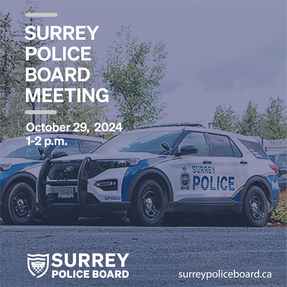 SPSBoard's tweet image. Reminder the Surrey Police Board meeting will begin at 1 p.m. today. You can view the live stream here: youtube.com/live/2e0WiWUFg…