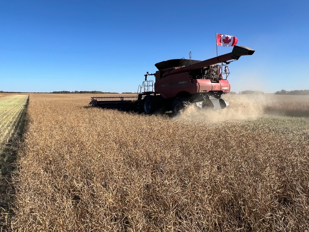 Our new PV 783 TCN with NTACT™ Technology provides increased pod shatter protection, coupled with the strength of TruFlex® technology for an outstanding hybrid that will excel. Whether you want a wider harvest window or to straight cut, PV 783 TCN can deliver.