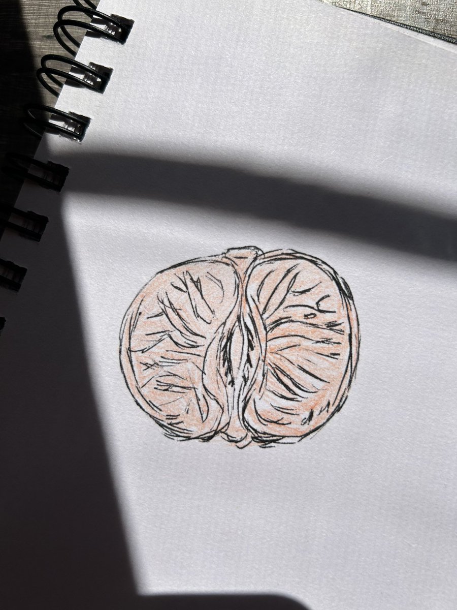 Iveth Luna Flores tweet media