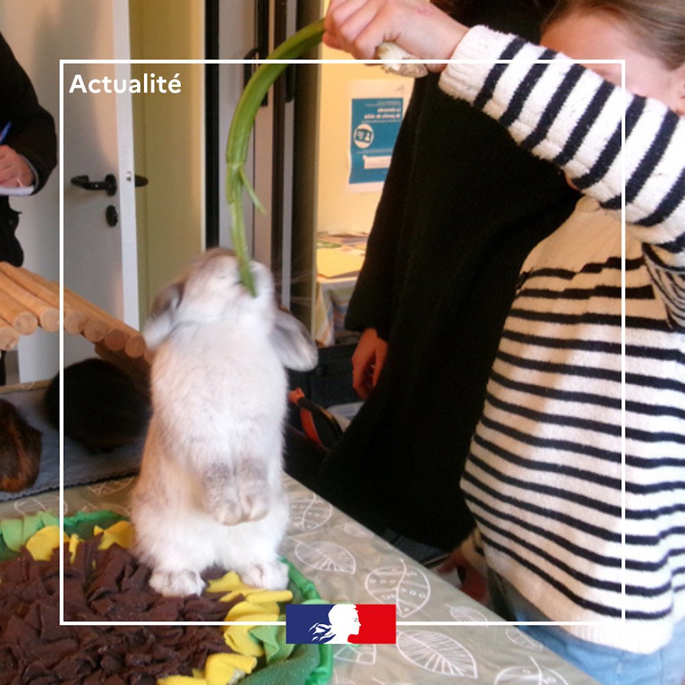 DISP de Dijon tweet media