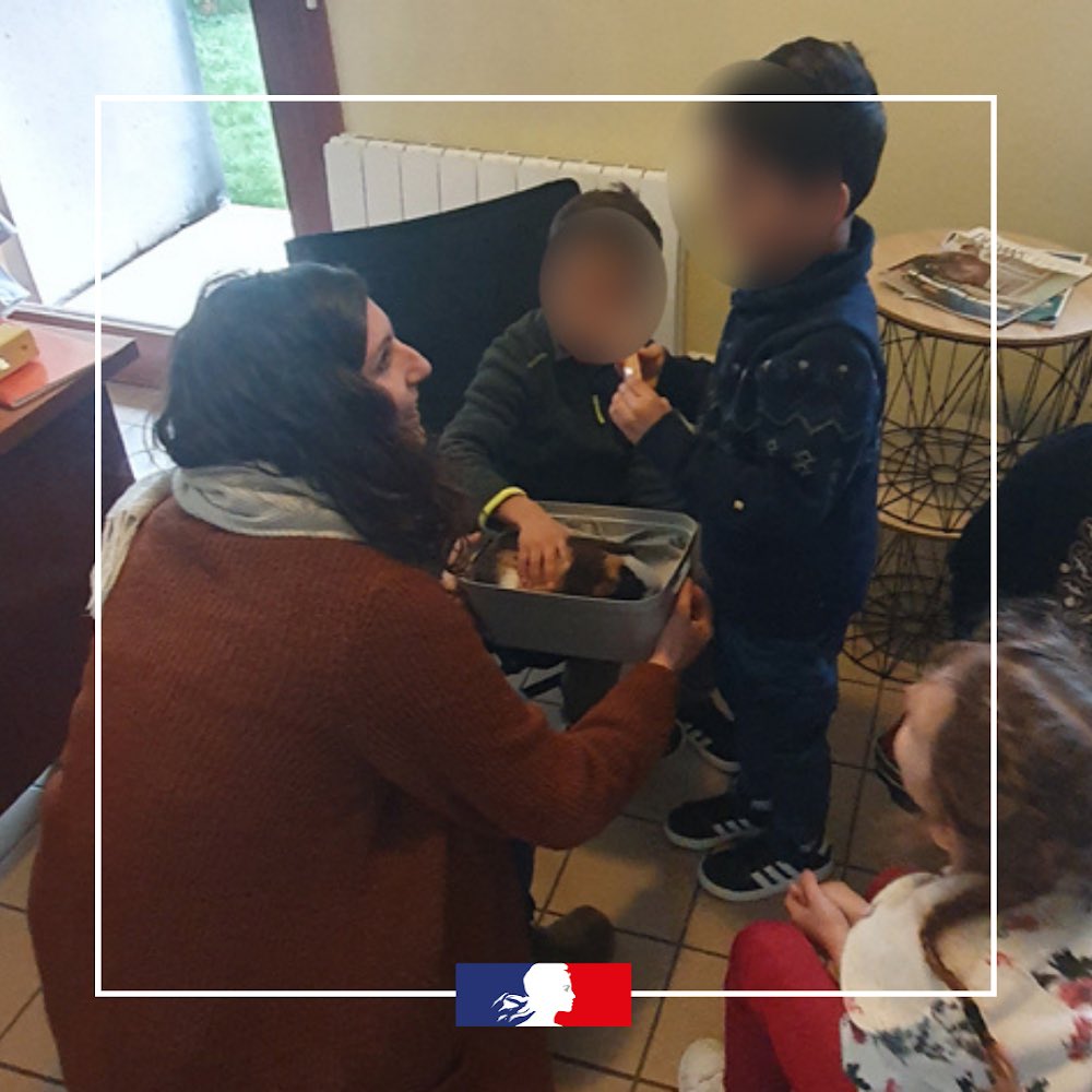 DISP de Dijon tweet media