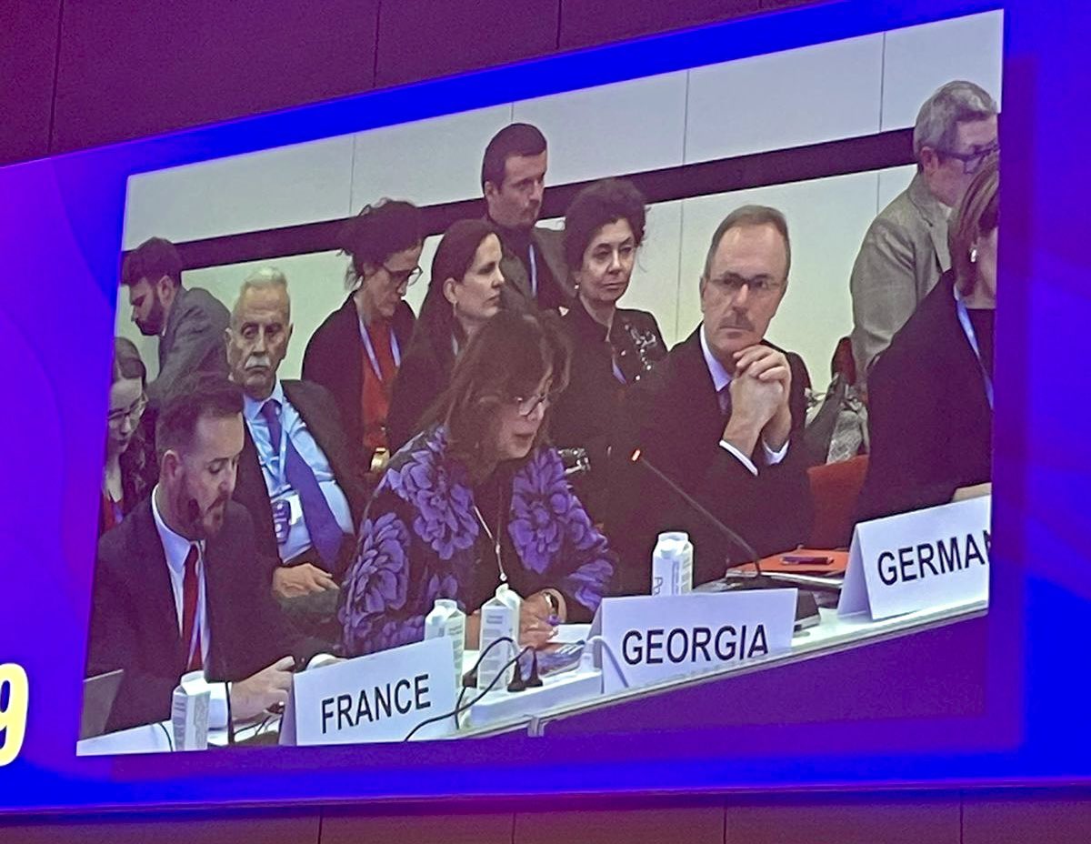 Proud to deliver a statement on behalf of Georgia’s Minister of Health <a href="/MOHgovge/">MOHgovge</a>  at <a href="/WHO_Europe/">WHO/Europe</a> Regional Committee session in #Copenhagen #RC74CPH. Highlighted our healthcare reforms focused on universal health coverage &amp; quality of care - for all. Honored to stand united with