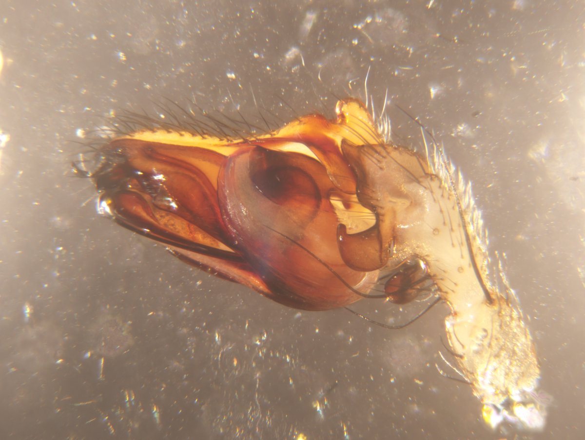 Andrew Douglas tweet media