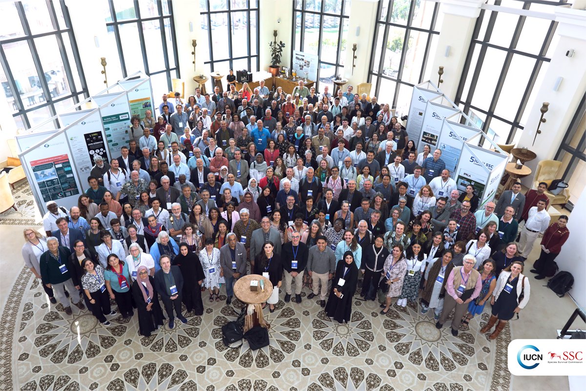 IUCN Species Survival Commission tweet media