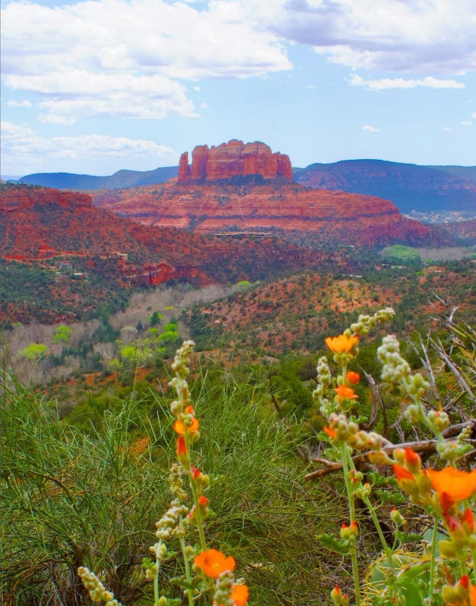 SedonaDotOrg's tweet image. Looking for 360° views of Sedona’s iconic red rocks? The Sedona Airport Loop Trail has you covered! 🌄✨

Have you hiked the Airport Loop Trail?
📸: @tinatraveller

#SedonaAirportLoop #PanoramicViews #ExploreSedona #HikingSedona #RedRockMagic #BookDirect #ILoveVacations #Sedona
