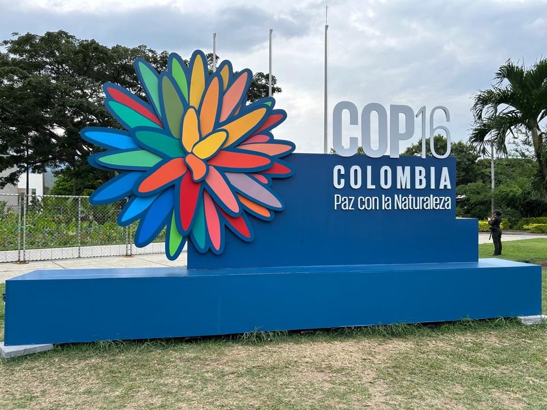 Projet de Restauration des Terres Dégradées (PRTD) tweet media