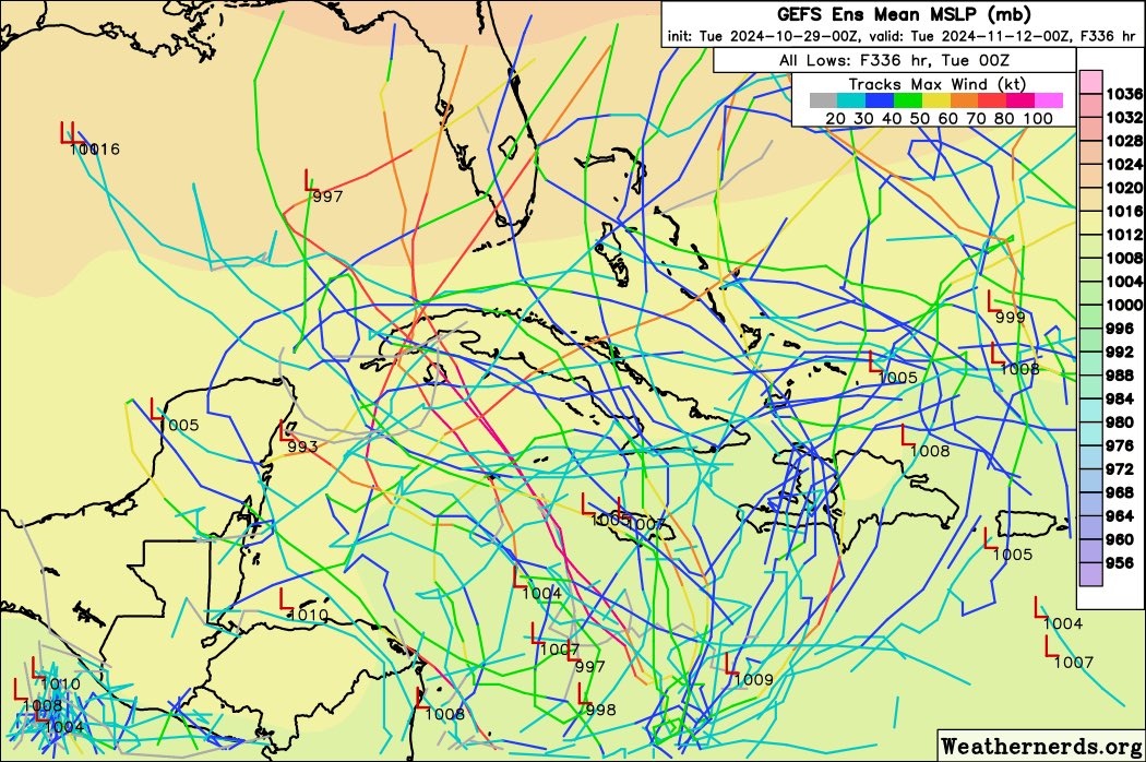 TikTok: “it’s going to hit Florida”

The data: