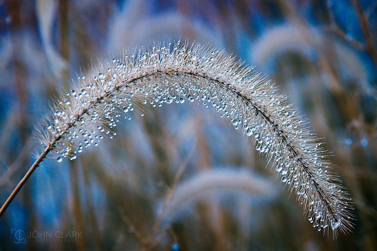 John Clark | Photographer (@getrealjc) on Twitter photo Dew you like this picture? 
#ThePhotoHour #StormHour #on1pics <a href="/ON1photo/">ON1</a> Dew you like this picture? 
#ThePhotoHour #StormHour #on1pics <a href="/ON1photo/">ON1</a>