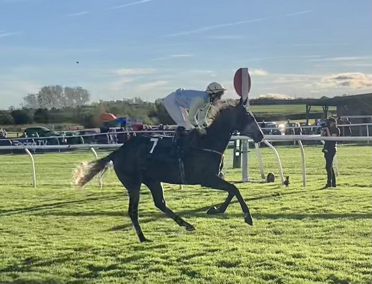 JohnWathenBerry's tweet photo. Absolutely delighted to have the very tough #TarbatNess win the 2-mile h’cap at @CatterickRaces for his very supportive owners 1997 Partnership &amp; RHD. Lovely to see him get his head in front again after a series of narrow defeats. Top ride from @GinaMangan7 as per usual. https://t.co/5ICsvy2S3o