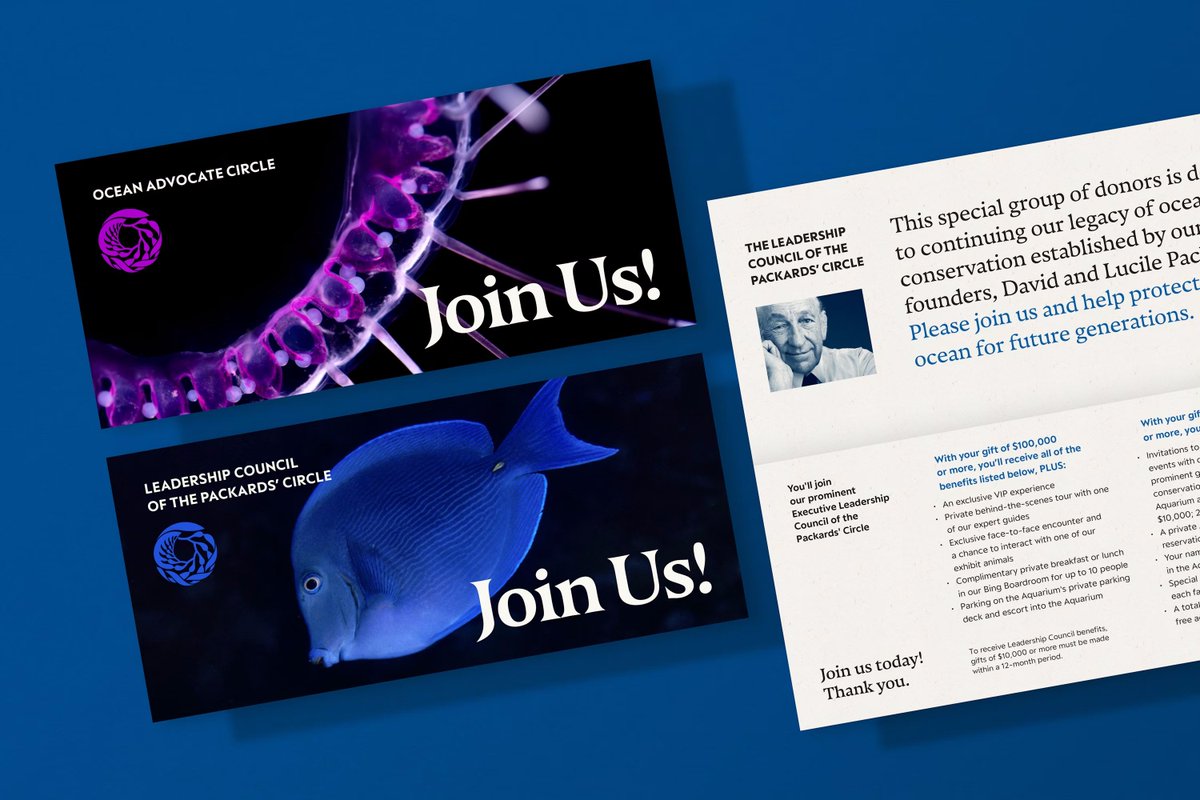 typotheque's tweet photo. Together with @pentagram we designed custom fonts for The Monterey Bay Aquarium as part of the new rebrand. https://t.co/hfU0IIqaGE https://t.co/3lOUnMH1PY