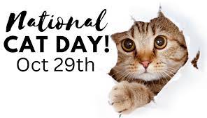 NVStatePlumbing's tweet photo. Go snuggle your cat for National Cat Day! 🐈 #NationalCatDay
Nevada State Plumbing https://t.co/sFAXjxatJt 702-800-3000
Las Vegas Plumbing
#LasVegasPlumber #Plumbing #Drains #Sewer #Maintenance #DrainCleaning #WaterHeater #PlumbingRepair https://t.co/pRzmf9mEBR
