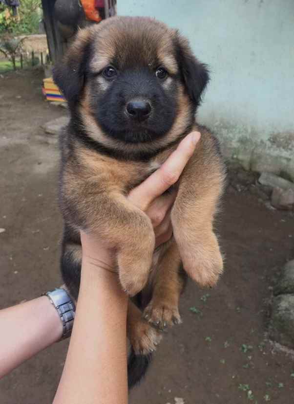 FerFuness's tweet image. Signing off – Fernando Funes!