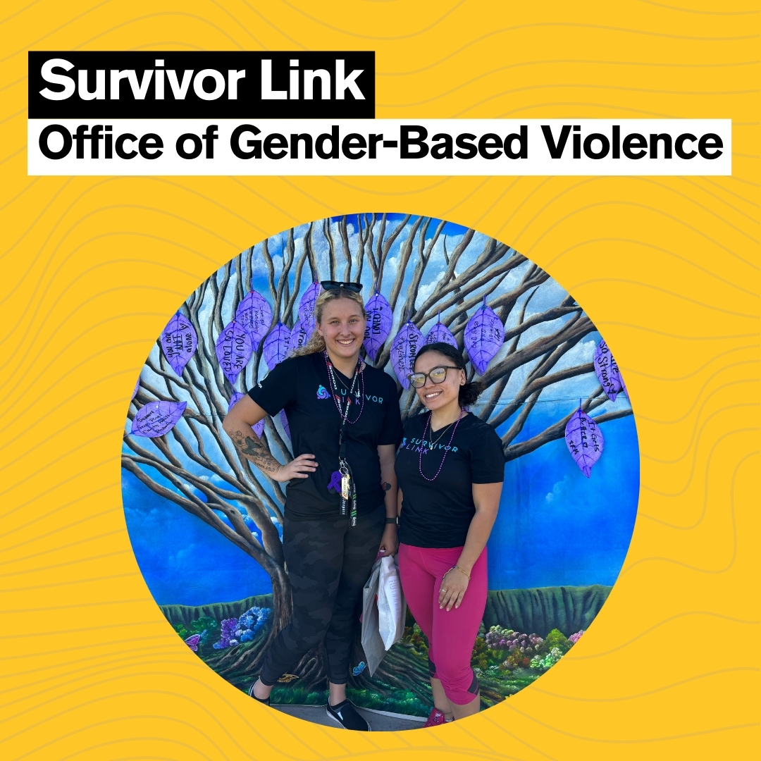 As we come to the end of National Domestic Violence Awareness Month, we are excited to highlight the incredible partnership between the SSW Office of Gender-Based Violence and Survivor Link, an AmeriCorps program in schools across the nation. Read more at: ow.ly/RO1C50TvOuS