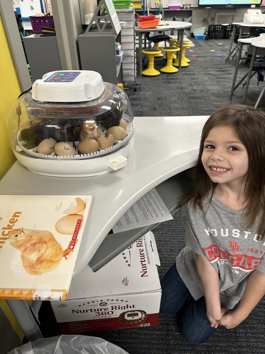 EmilyAngelilli's tweet photo. First grade has chicks! We’ve had 10 chicks hatch over the past few days! 🐥🐣 @cfisdfiest @CFISDPK1 https://t.co/pi49ZKJbQe