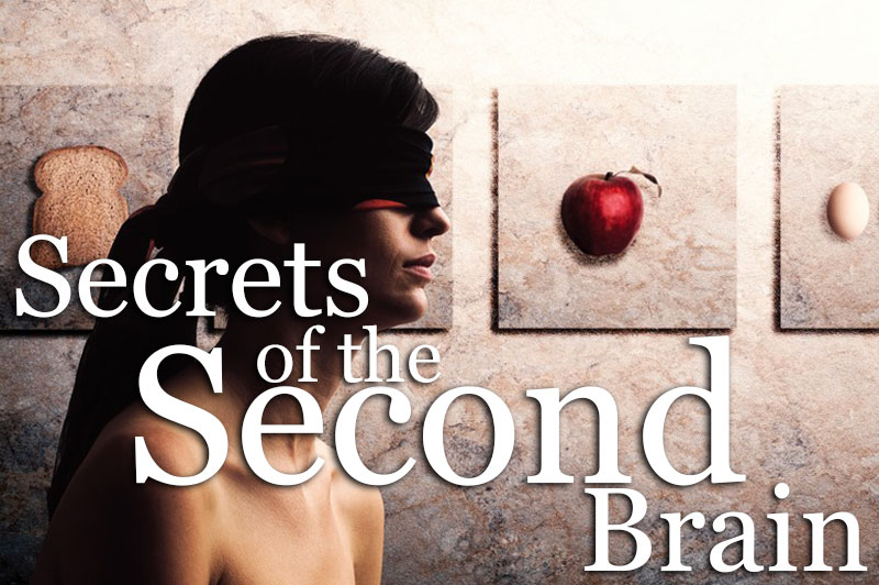 lesliekenton's tweet photo. Secrets Of The Second Brain  
 How much do you know about your second brain? Never heard of it? Most people haven’t. But so important is it to your health, ability to deal with stress, emotional balance and spiritual life, that it is essential yo...  
  … https://t.co/xBmOcMQGeX https://t.co/FV1oi1tJmY