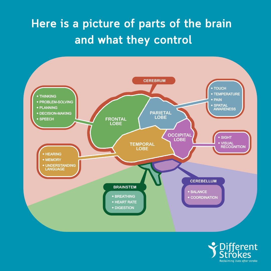 Different Strokes - Stroke Support UK tweet media