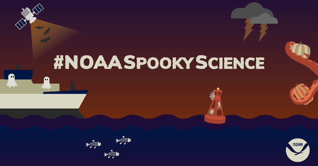 NOAAeducation's tweet photo. There’s still time to make use of our #NOAASpookyScience content! Check out all things spooky, odd, and spine-tingling in the ocean and atmosphere with NOAA Spooky Science:
https://t.co/hawGuwcZFe
#FallInLoveWithScience #NOAASpookyScience https://t.co/m5BahapyX4