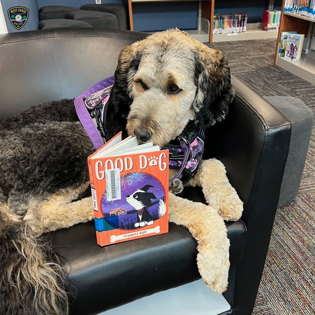 WestFargoPolice's tweet photo. Comfort K-9 Labby has been brushing up on her reading skills at Horace Elementary School! 📚🐾

SRO Roll and K-9 Labby bridge the gap between law enforcement and students. Their partnership is instrumental in creating a safe and welcoming atmosphere.

#WestFargosFinest https://t.co/nBWyhPQ61K
